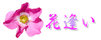 花逢い